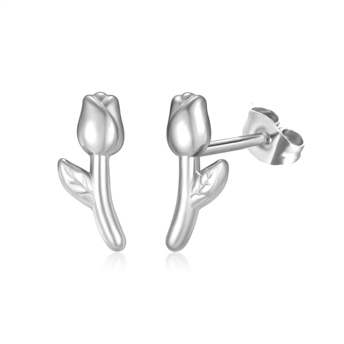 Stainless Steel Earrings-PD230419-S1.3G1.9-PE379