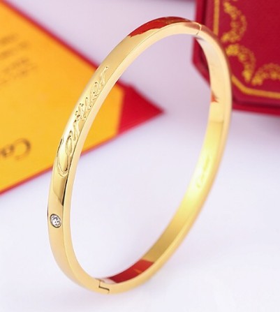 Stainless Steel Brand Bangle-DY230507-LVSL048G-271-19