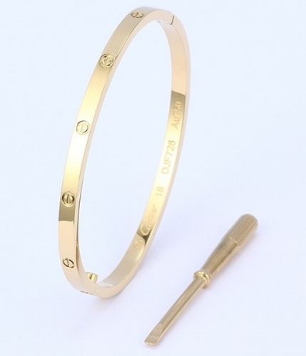 Stainless Steel Brand Bangle-DY230507-LVSL044G-314-22