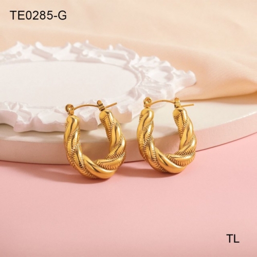 Stainless Steel Earrings-SN230507-TE0285-G-14.7