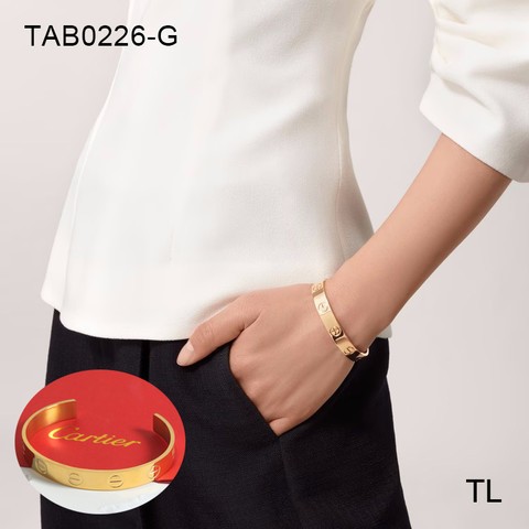 Stainless Steel Brand Bangle-SN230507-TAB0226-G-16.3