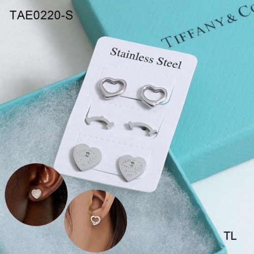 Stainless Steel Brand Earrings-SN230507-TAE0220-S-16.3