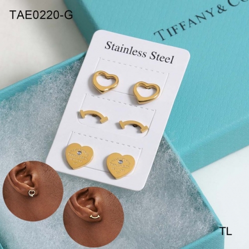 Stainless Steel Brand Earrings-SN230507-TAE0220-G-18.5