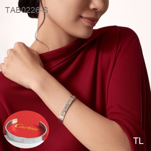 Stainless Steel Brand Bangle-SN230507-TAB0226-S-14