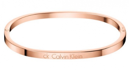 Stainless Steel Brand Bangle-DY230507-LVSL037R-343-24