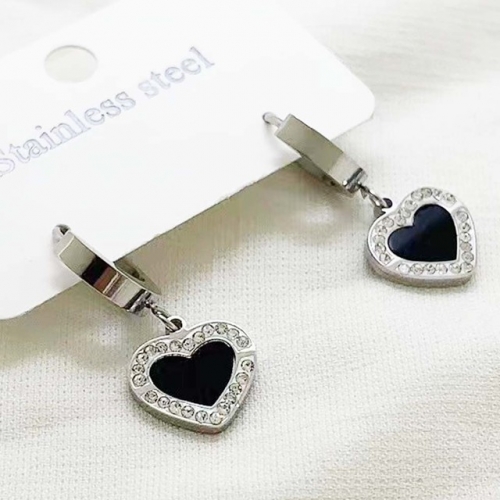 Stainless Steel Brand Earrings-RR230511-Rre0913-12