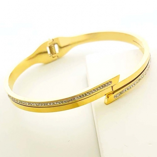 Stainless Steel Brand Bangle-RR230511-Rrs04422-24