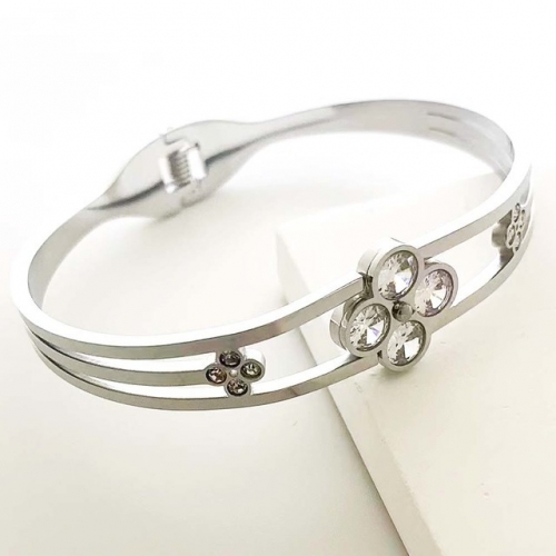 Stainless Steel Brand Bangle-RR230511-Rrs04427-23