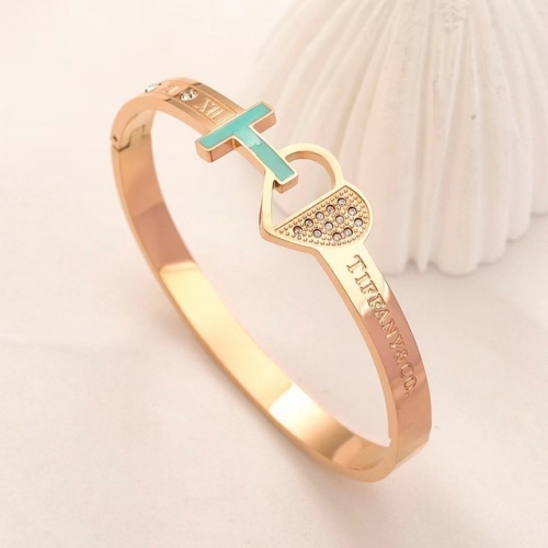 Stainless Steel Brand Bangle-YWA230511-P16.5N43 (1)