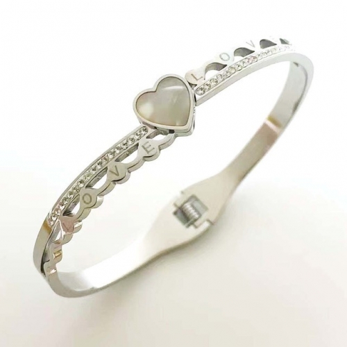 Stainless Steel Brand Bangle-RR230511-Rrs04423-23