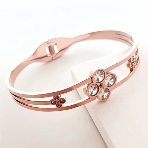 Stainless Steel Brand Bangle-RR230511-Rrs04429-25