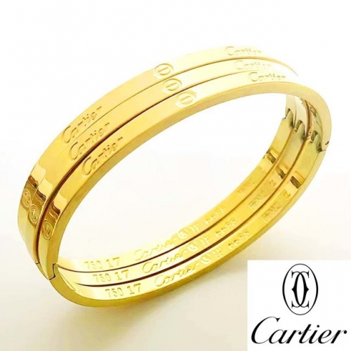 Stainless Steel Brand Bangle-RR230511-Rrs04436-30