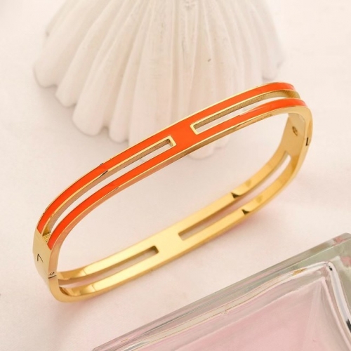 Stainless Steel Brand Bangle-YWA230511-P19NJA (2)