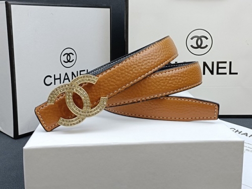 Belt 1916-YX