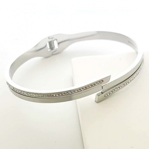 Stainless Steel Brand Bangle-RR230511-Rrs04421-23