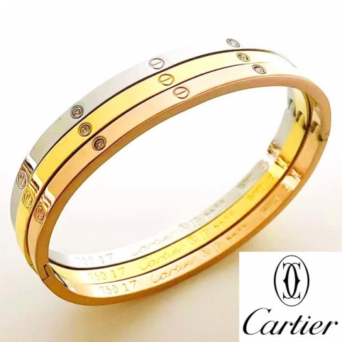 Stainless Steel Brand Bangle-RR230511-Rrs04437-30