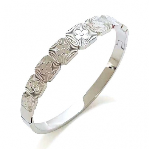 Stainless Steel Brand Bangle-RR230511-Rrs04419-23