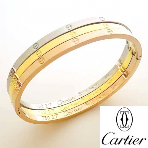 Stainless Steel Brand Bangle-RR230511-Rrs04439-30