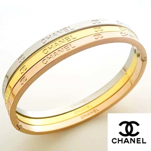 Stainless Steel Brand Bangle-RR230511-Rrs04438-30