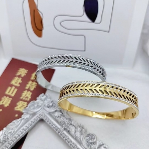 Stainless Steel Brand Bangle-XG230526-P20WKJ(01)-66