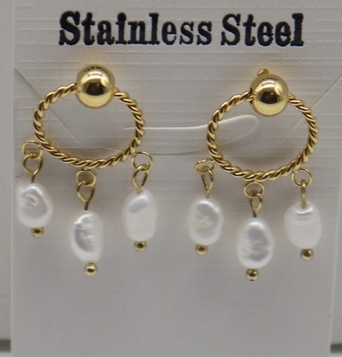 Stainless Steel Earrings-XW230526-IMG_1752