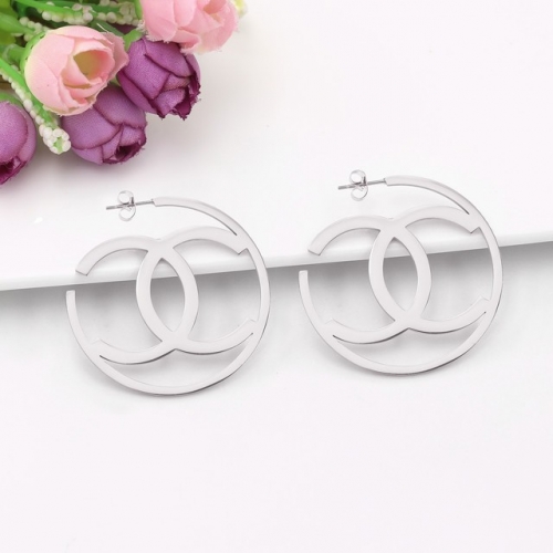 Stainless Steel Brand Earrings-HY230526-P12JWQ (5)