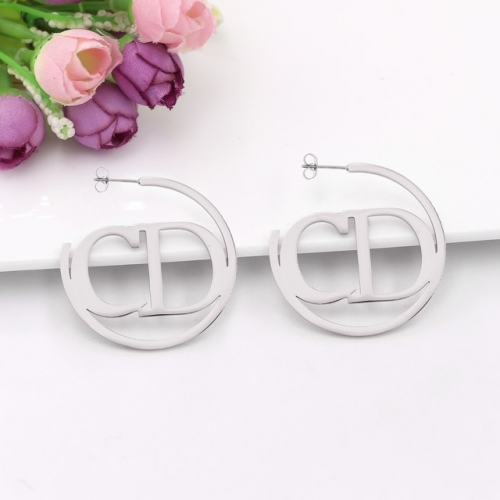 Stainless Steel Brand Earrings-HY230526-P12JWQ (4)