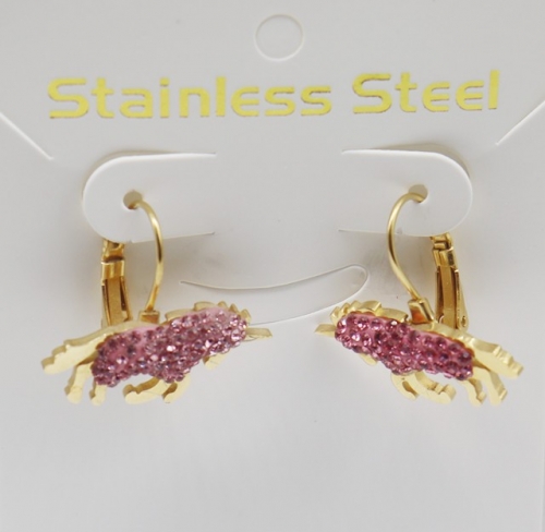 Stainless Steel Earrings-XW230526-IMG_1754