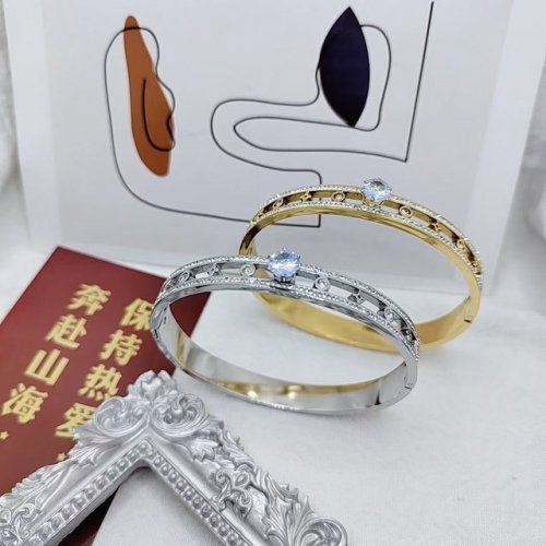 Stainless Steel Brand Bangle-XG230526-P20WKJ(01)-67