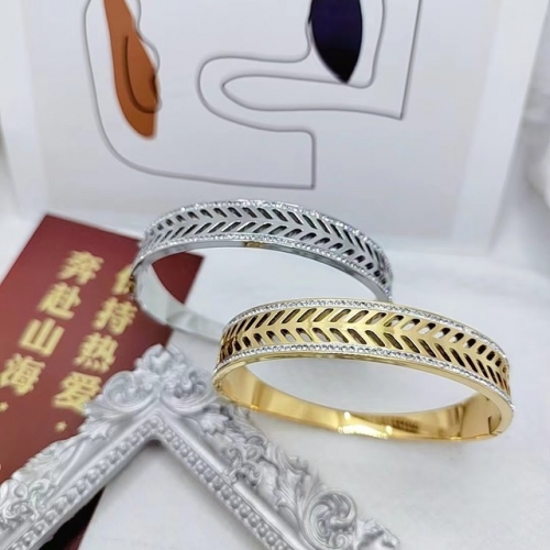 Stainless Steel Brand Bangle-XG20230615-P20IWW (167)