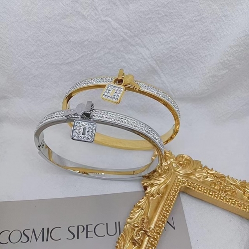 Stainless Steel Brand Bangle-XG20230615-P20IWW (148)