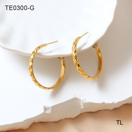 Stainless Steel Earrings-SN230612-TE0300-G-9.8