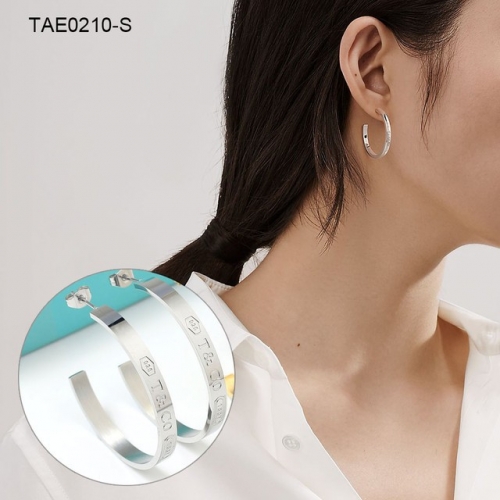 Stainless Steel Brand Earrings-SN230612-TAE0210-S-12.8