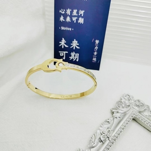 Stainless Steel Brand Bangle-XG20230615-P20TYI (31)