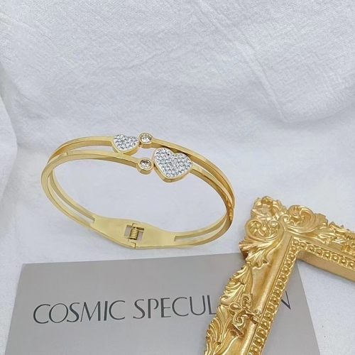 Stainless Steel Brand Bangle-XG20230615-P20TYI (10)