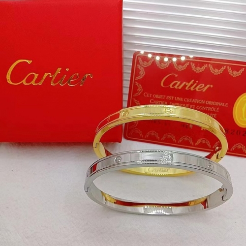 Stainless Steel Brand Bangle-XG20230615-P20IWW (227)