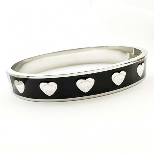 Stainless Steel Brand Bangle-RR230626-Rrs04460-23