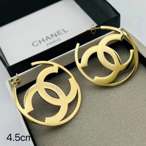 Stainless Steel Brand Earrings-ZN230626-P12CJI (1)