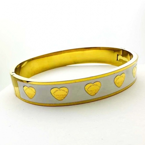 Stainless Steel Brand Bangle-RR230626-Rrs04459-24