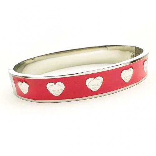 Stainless Steel Brand Bangle-RR230626-Rrs04464-23