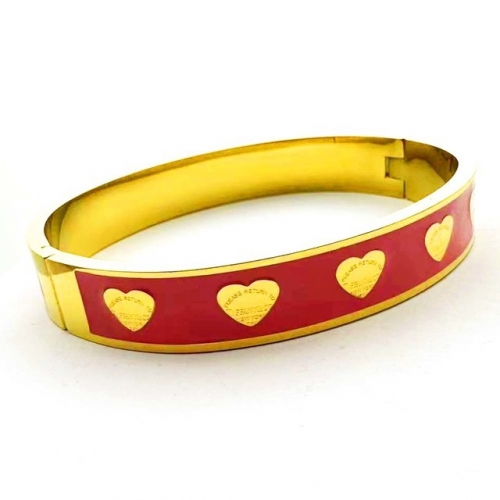 Stainless Steel Brand Bangle-RR230626-Rrs04465-24