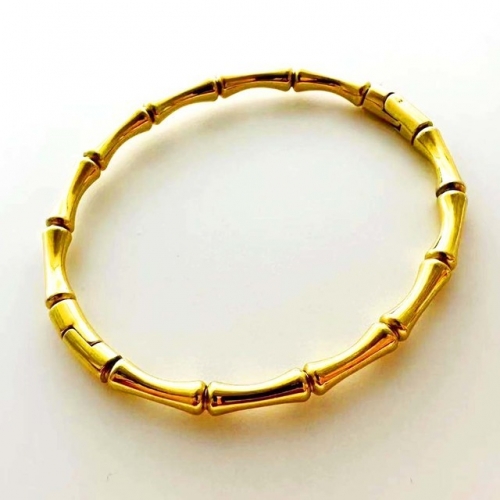 Stainless Steel Brand Bangle-RR230626-Rrs04466-23