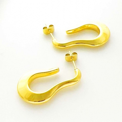 Stainless Steel Brand Earrings-RR230626-Rre1011-14