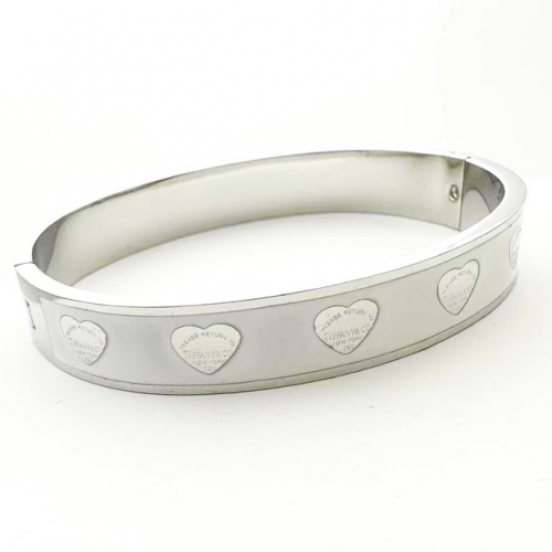 Stainless Steel Brand Bangle-RR230626-Rrs04458-23