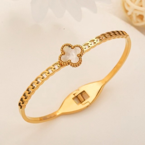 Stainless Steel Brand Bangle-YWA230628-P12.5XDG (2)