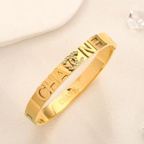 Stainless Steel Brand Bangle-YWA230628-P18C2DX (2)