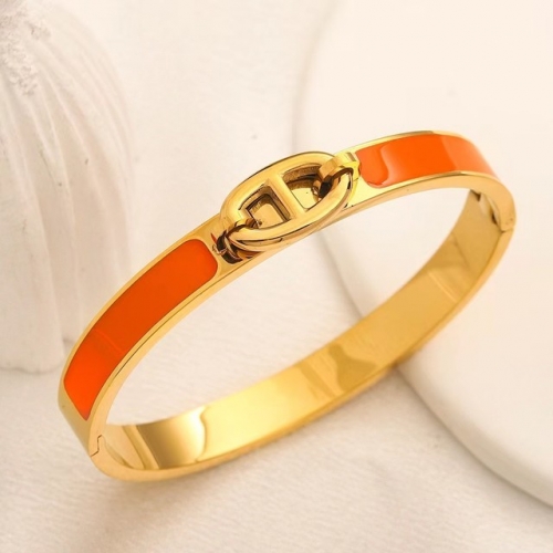 Stainless Steel Brand Bangle-YWA230628-P18CD8I (2)