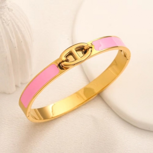 Stainless Steel Brand Bangle-YWA230628-P18CD8I (1)