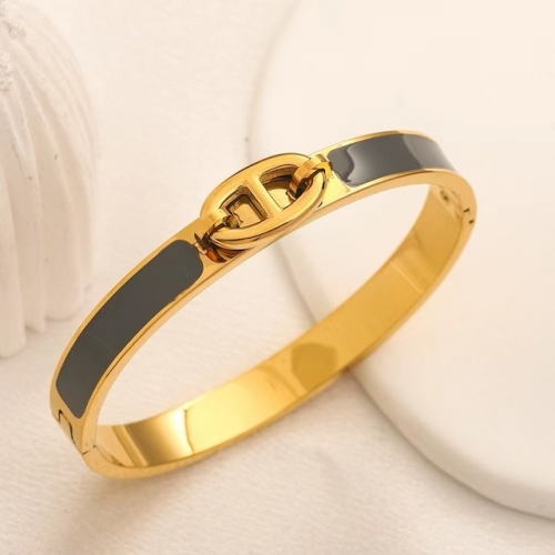 Stainless Steel Brand Bangle-YWA230628-P18CD8I (3)