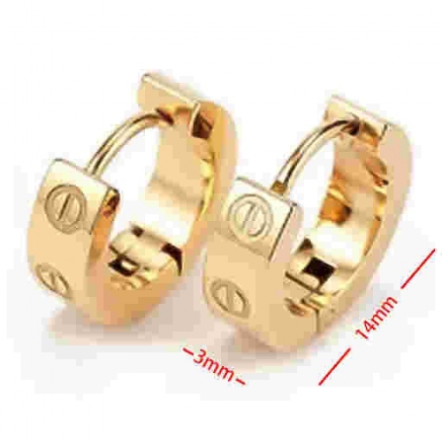 Stainless Steel Brand Earrings-HY230712-P11BGI